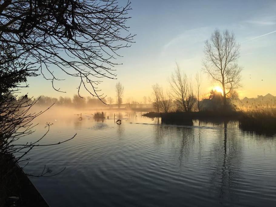 Villa Gezellige Pipo Met Grote Schommel Aan Het Water Medemblik Exterior foto